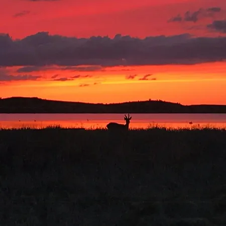 Holiday home At Fynshoved Martofte